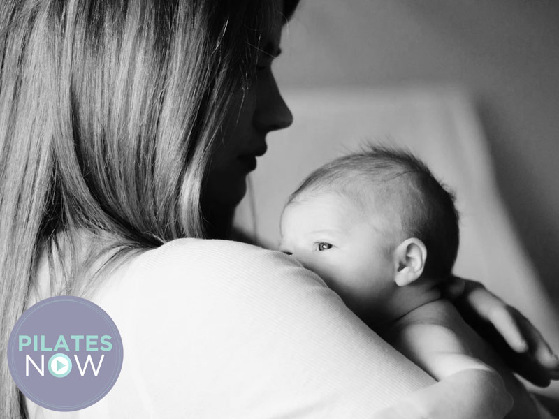 Moma Restore Programme